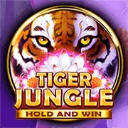 Hình ảnh tổng quan các trò chơi Slot tại nhà cái Net88